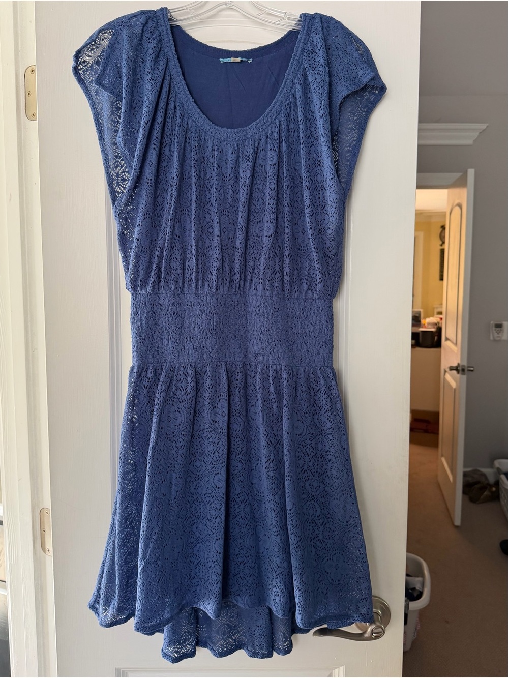 Leifnotes Anthropology Blue Lace Fit-and-Flare Dress